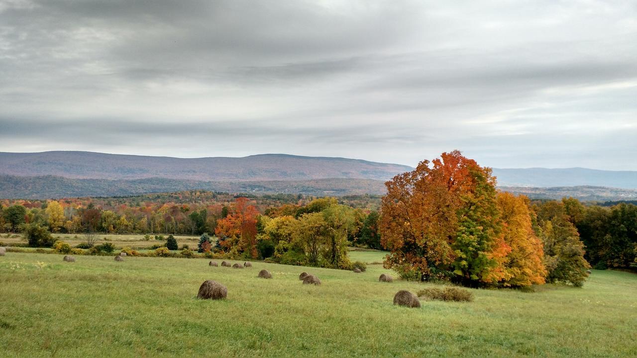 Meadowood Farm Bed and Breakfast Brattleboro Buitenkant foto