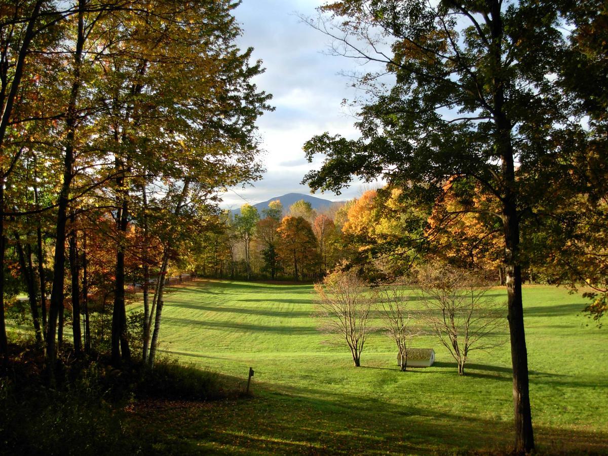 Meadowood Farm Bed and Breakfast Brattleboro Buitenkant foto